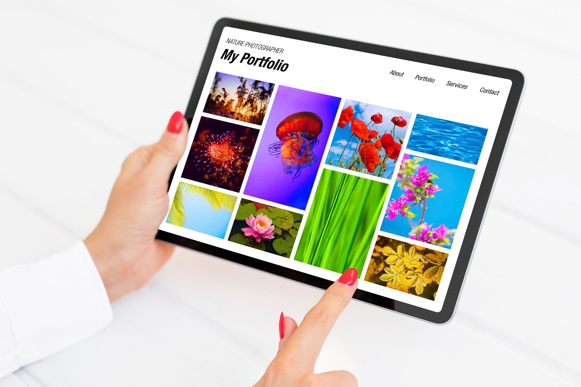Person viewing nature photography portfolio website on tablet